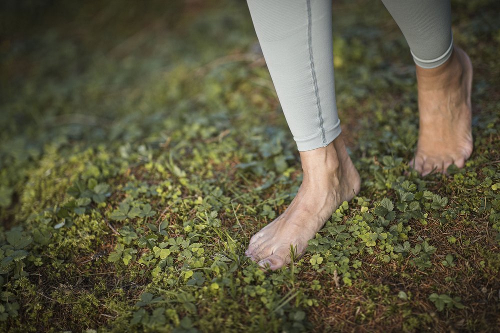 Persona scalza che cammina su un terreno boschivo coperto di muschio e piante verdi