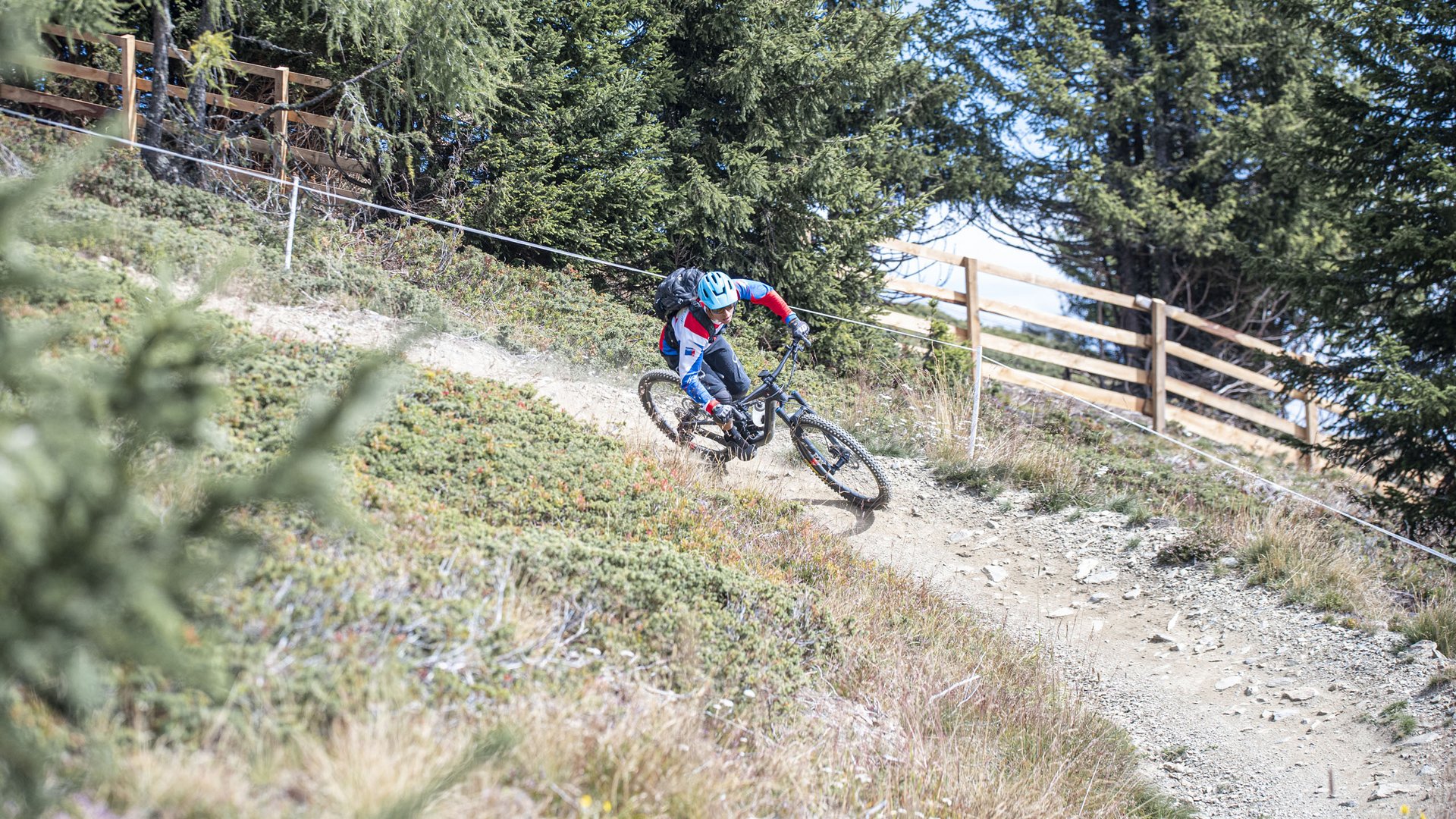 Mountainbiker fährt auf einem schmalen Waldweg bergab