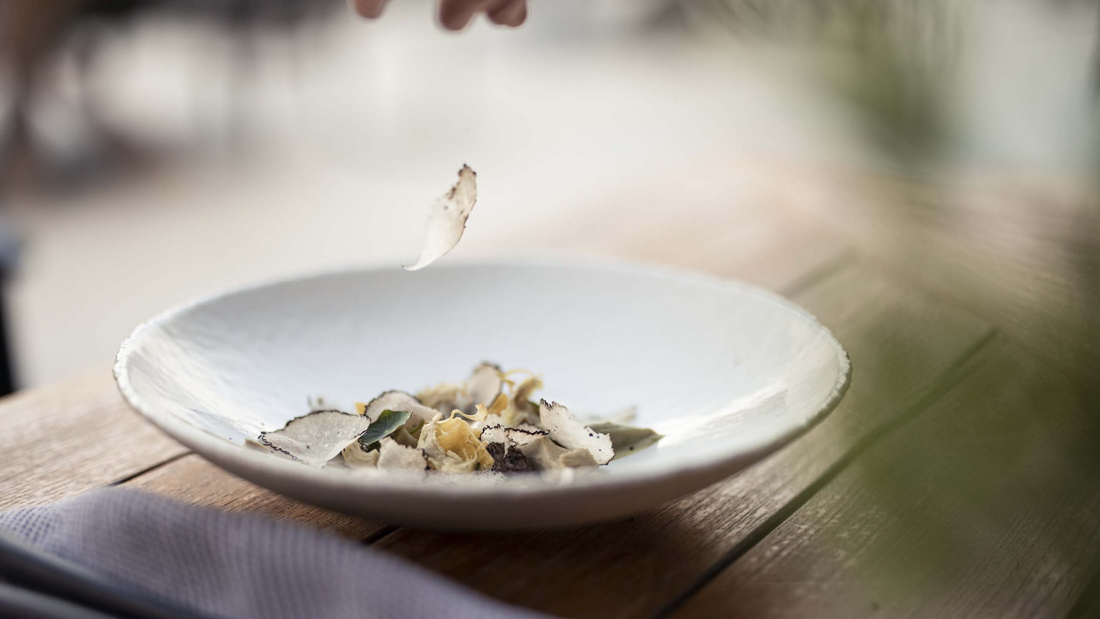 Fette di tartufo vengono adagiate su un piatto bianco