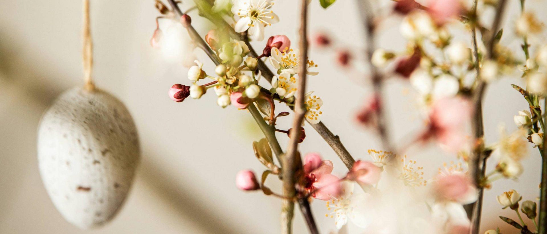 Blühende Zweige mit hängendem Osterei als Dekoration