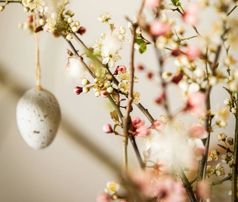 Blühende Zweige mit hängendem Osterei als Dekoration