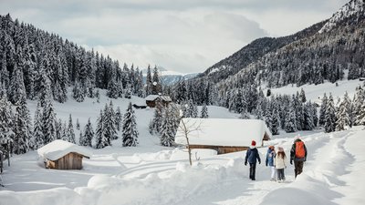 Famiglia che cammina su sentiero innevato tra montagne e pini