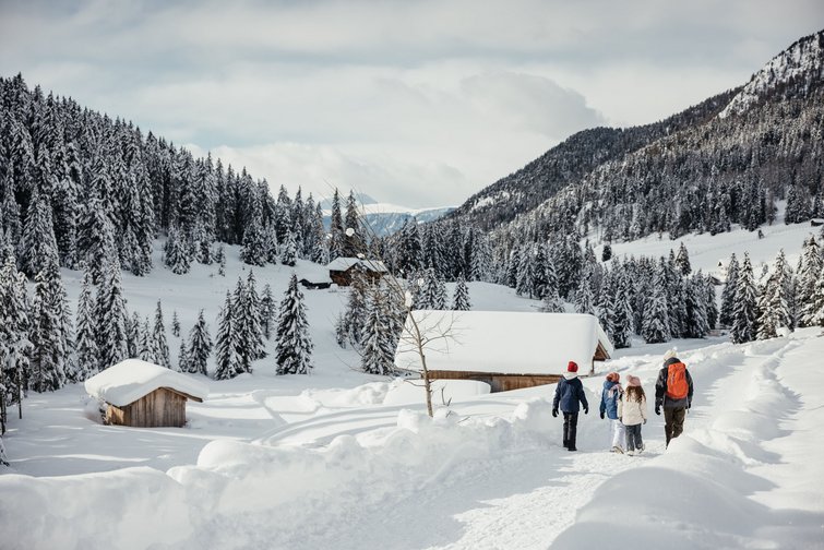 Family walking on snowy path surrounded by mountains and pine trees