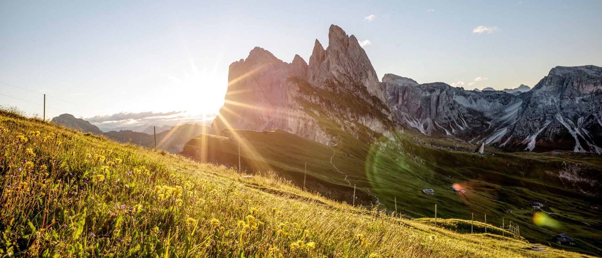 Sunset over flowering mountain meadow and rugged rock formations