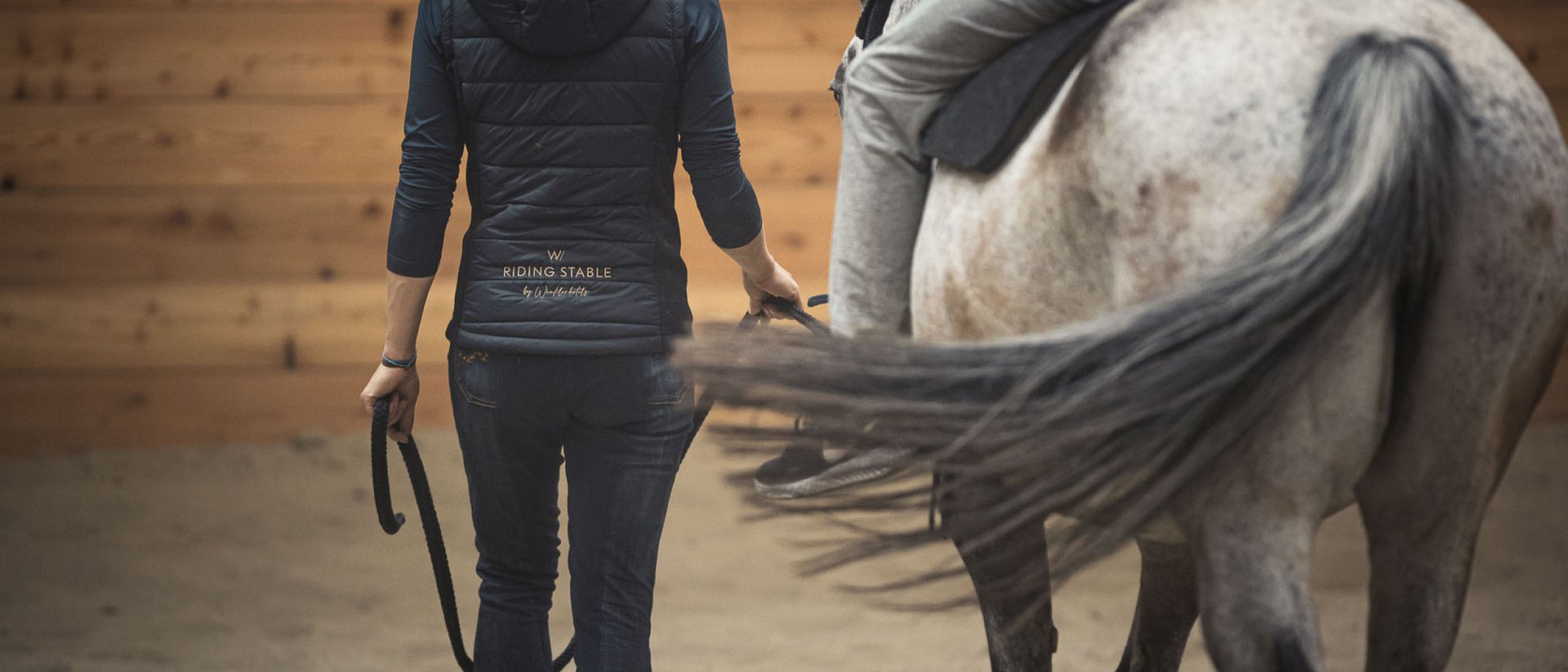 Donna conduce un cavallo con un cavaliere nella maneggio