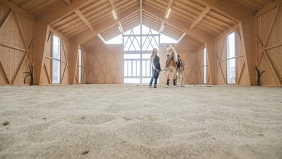 Donna con cavallo in una grande scuderia in legno