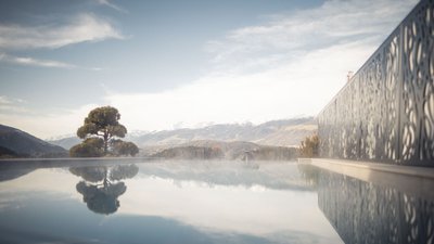 Piscina a sfioro con vista sulle montagne e riflesso di un albero alla mattina