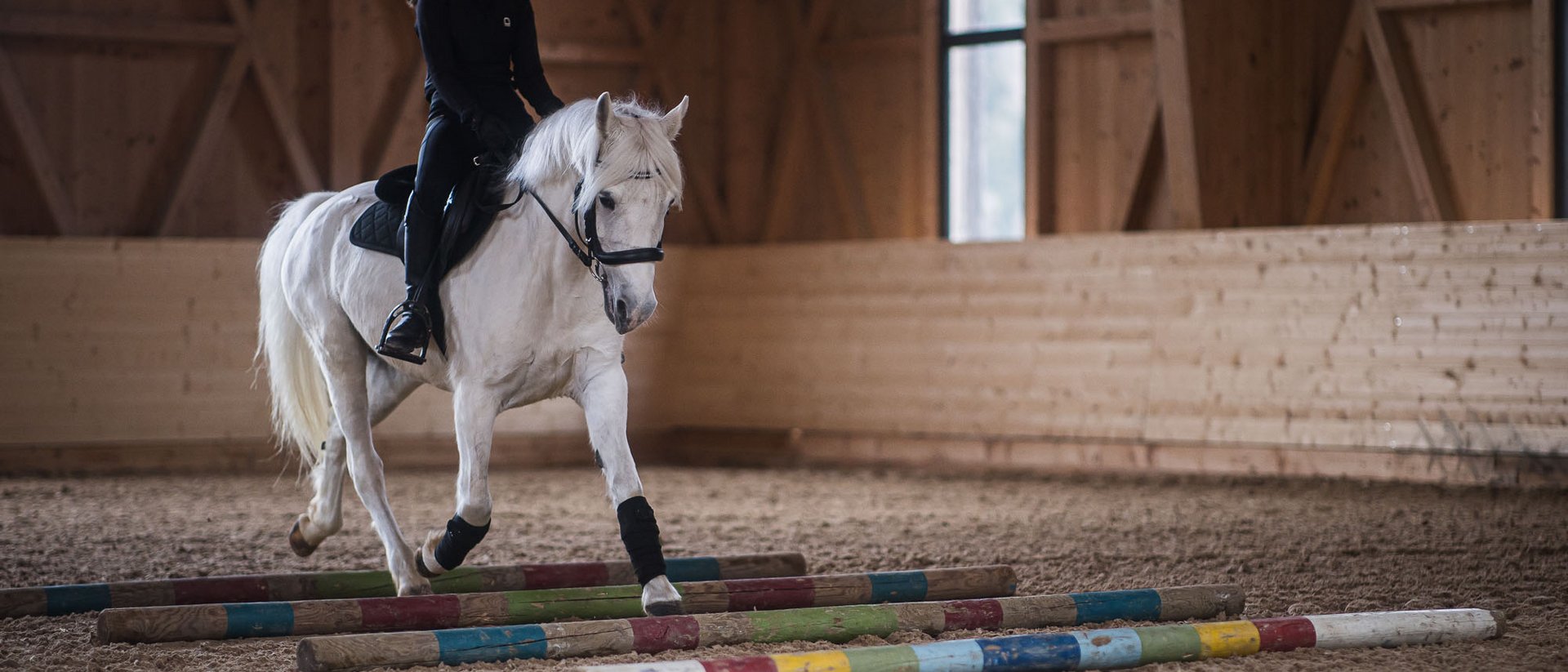 Dove fare equitazione in Alto Adige: hotel con maneggio Bambino cavalca cavallo bianco su pali colorati in un maneggio