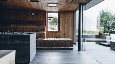Sala sauna moderna con pareti in legno e grandi finestre sul giardino