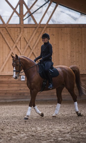 Reiterin auf braunem Pferd in Reithalle mit Holzverkleidung