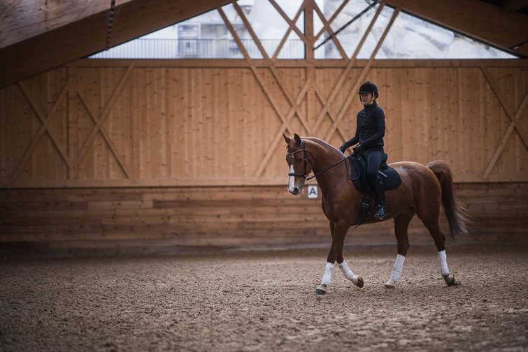 Cavaliere su cavallo marrone in maneggio coperto con pareti in legno