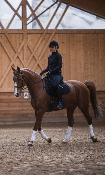 Rider on brown horse inside wooden indoor riding arena