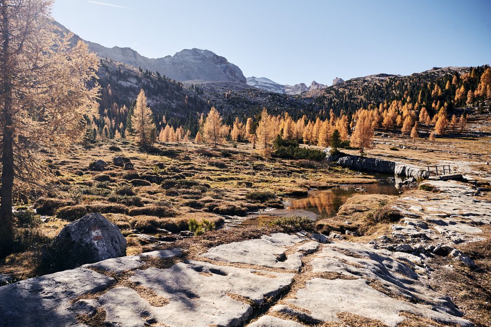 Winklerhotels | Passeggiate piacevoli a settembre Paesaggio montano autunnale con alberi gialli, ruscello e rocce in primo piano
