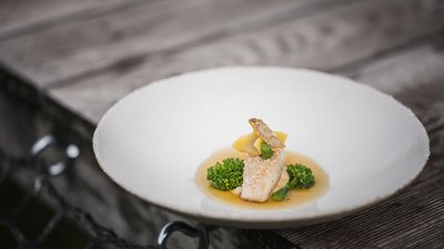 L’esclusività in foto: il nostro chalet in Alto Adige di lusso Piatto elegante con filetto di pesce, verdure e salsa in una ciotola bianca