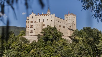 Castello storico su collina boscosa con cielo azzurro limpido