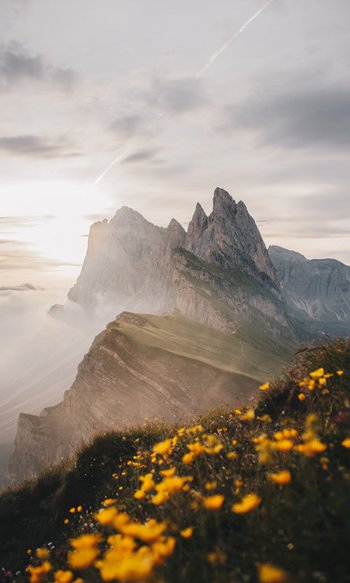 Felsige Bergspitzen bei Sonnenuntergang mit gelben Blumen auf dem Vordergrund