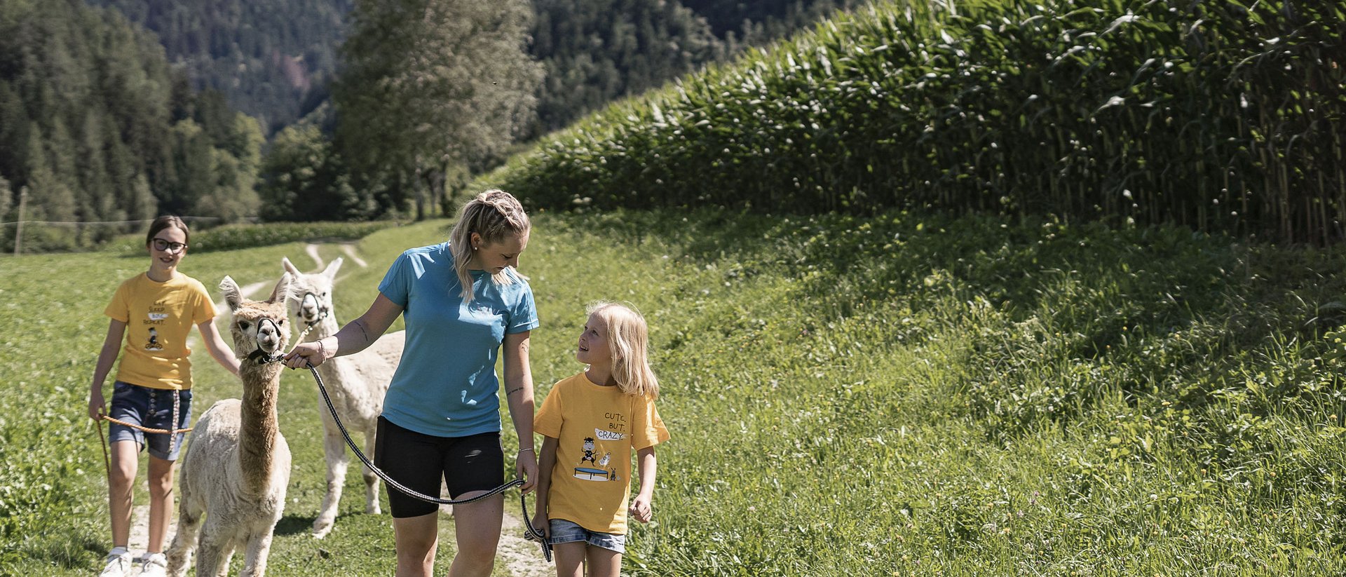 Your source of enrichment: our hotel at Mt Plan de Corones Woman and two children walking alpacas on a mountain path
