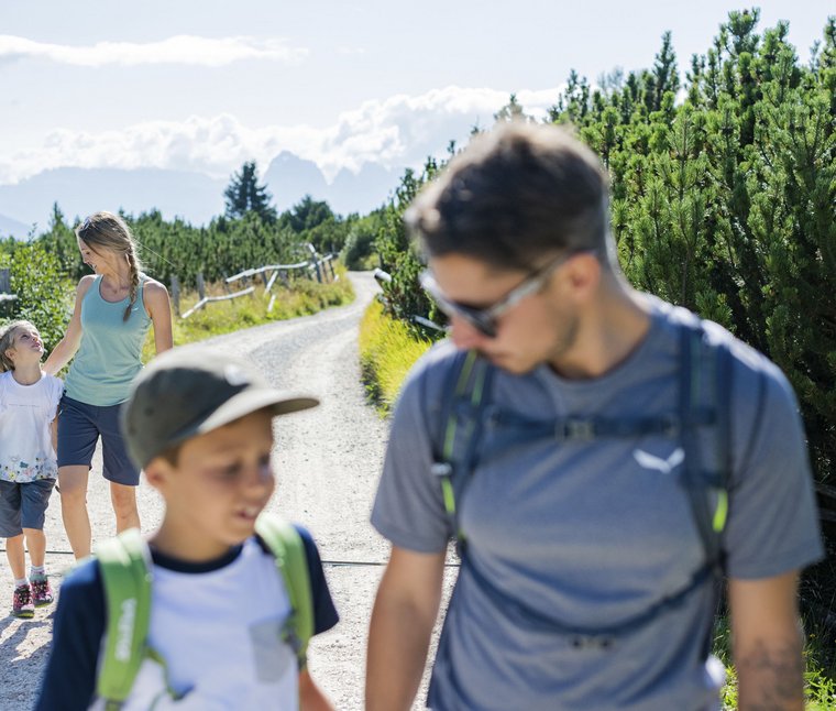 Famiglia che cammina su un sentiero di montagna soleggiato
