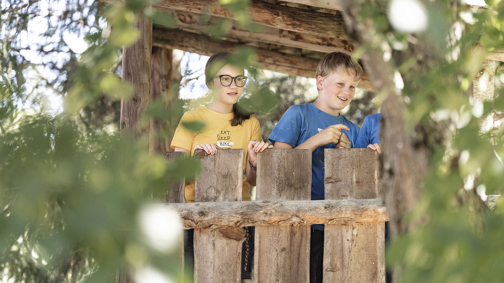 Children looking over a wooden fence in a sunny garden