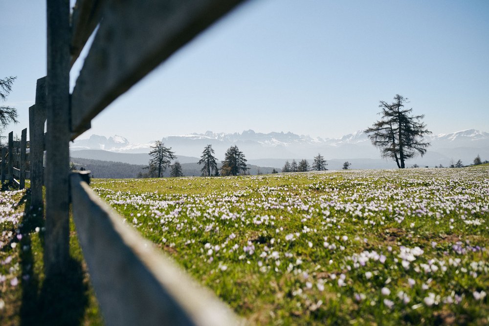 Dem Rhythmus des Frühlings folgen