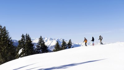 Tre persone con racchette da neve in montagna innevata con alberi e montagne sullo sfondo