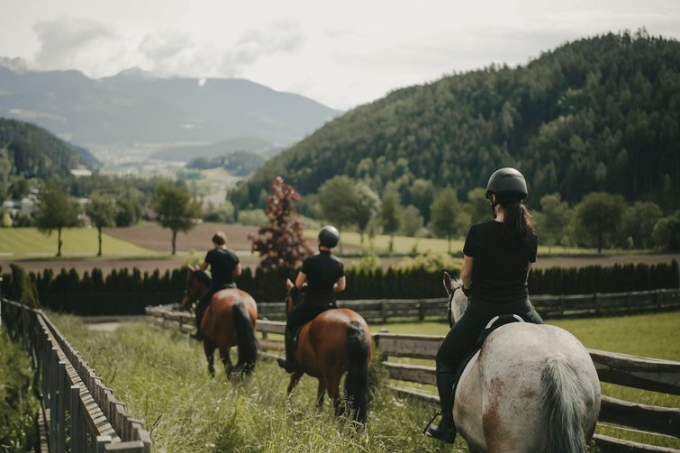 Drei Reiter auf Pferden in einer grünen Landschaft mit Bergen im Hintergrund