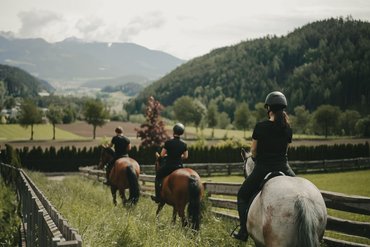 Drei Reiter auf Pferden in einer grünen Landschaft mit Bergen im Hintergrund