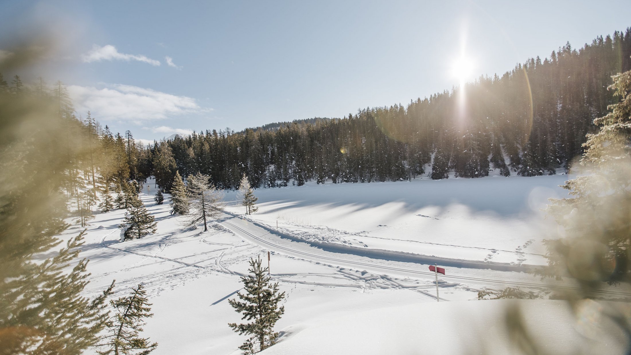 Snow-covered landscape with forest and sun in clear blue sky