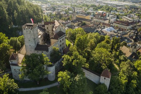 Aerial view of castle and town with trees and buildings in sunlight