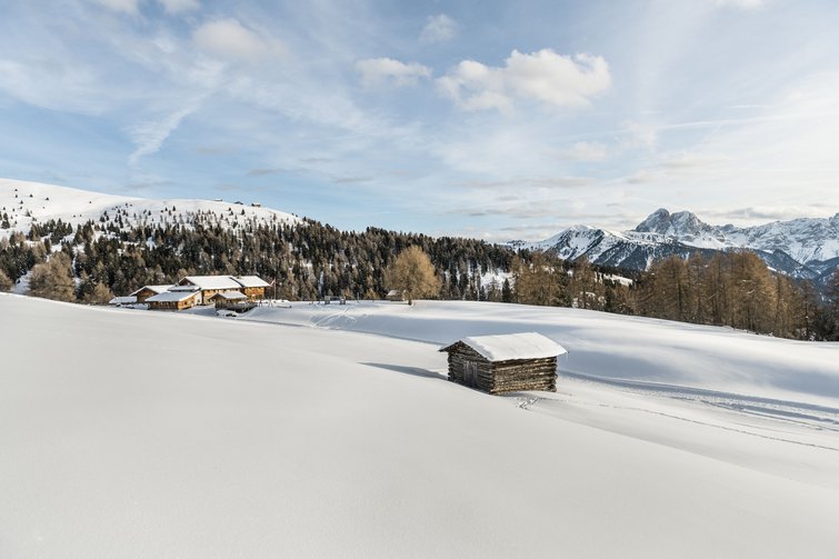 Snow-covered cabin on snowy field with mountains and forest in background