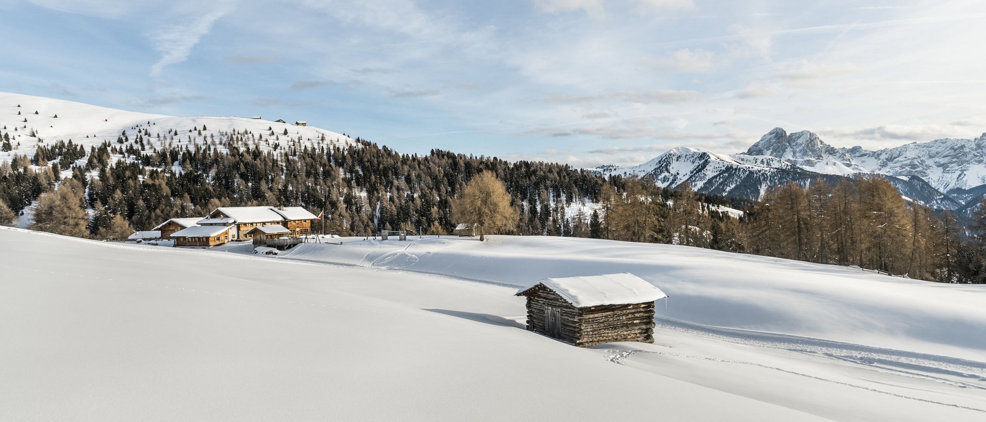 Baita innevata su campo con montagne e bosco sullo sfondo