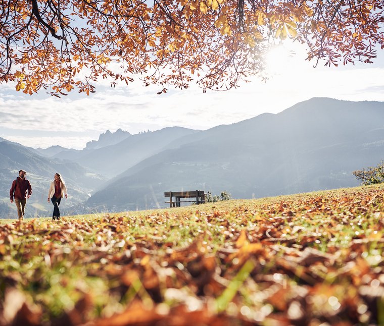 Winkler’s Stories: i nostri alberghi con maneggio di cavalli Due persone camminano in autunno con montagne e foglie autunnali in primo piano