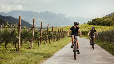 Due ciclisti su una strada tra vigneti con montagne sullo sfondo