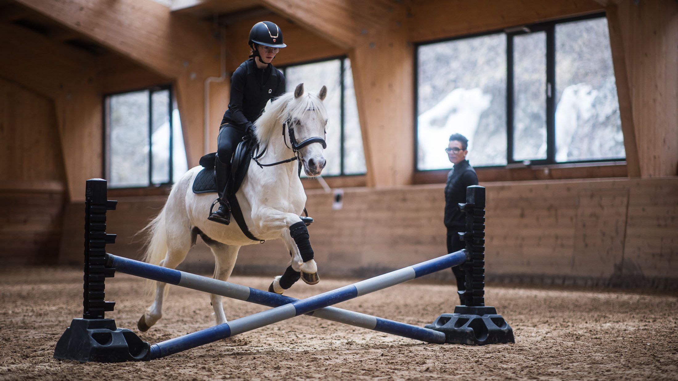 Persona cavalca un cavallo bianco saltando un ostacolo in un maneggio