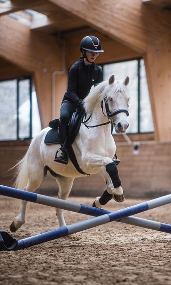 Person riding white horse jumping over obstacle inside indoor arena