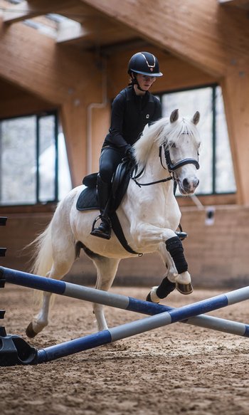 Person reitet weißes Pferd und springt über Hindernis in einer Halle