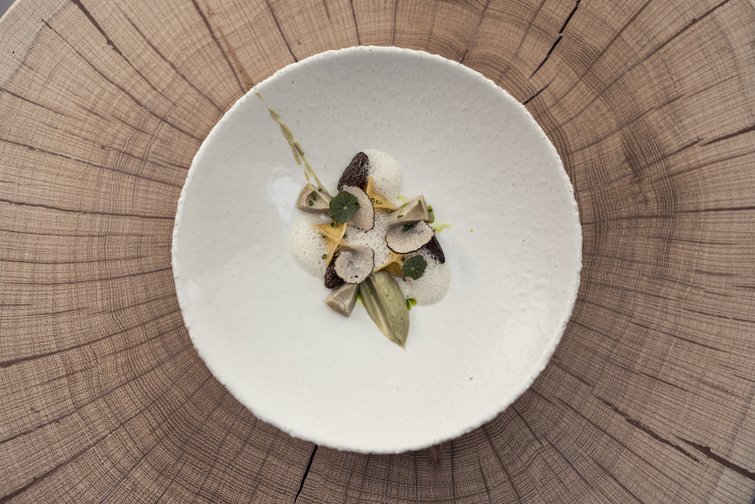 Gourmetgericht mit Pilzen und Schaum in weißem Teller auf Holzstruktur