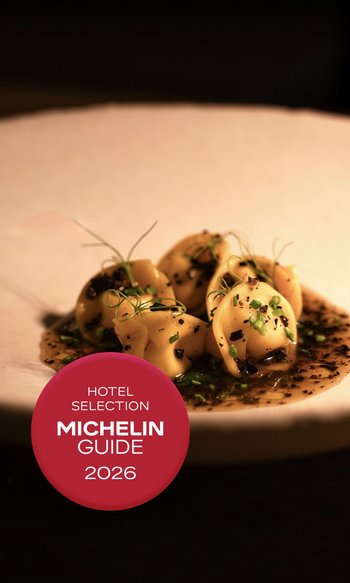 An enriching holiday in your luxury chalet in South Tyrol Stuffed pasta with herbs and sauce on a plate beside a Michelin Guide 2026 badge