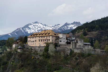 Old castle on forested hill with snow-capped mountains in background