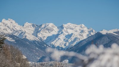 Montagne innevate con cielo limpido e alberi coperti di neve in primo piano