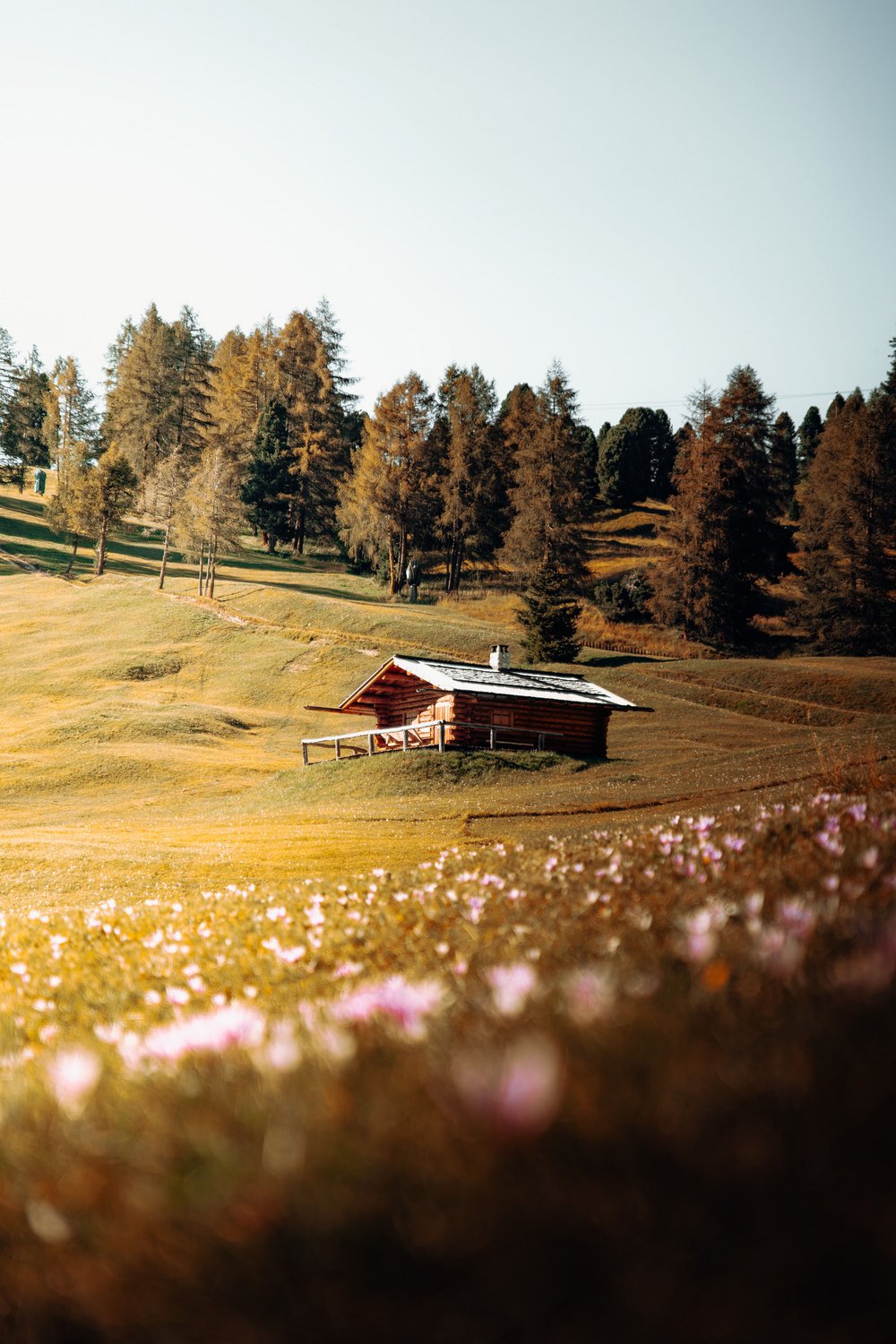Blühende Wiesen. Milde Temperaturen. Panoramareiche Wanderwege.