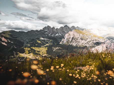 Mountain landscape with wildflowers and dramatic cloudy sky